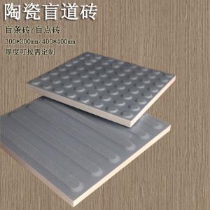 樓梯平臺中灰色麻點提示盲道磚鋪裝 J